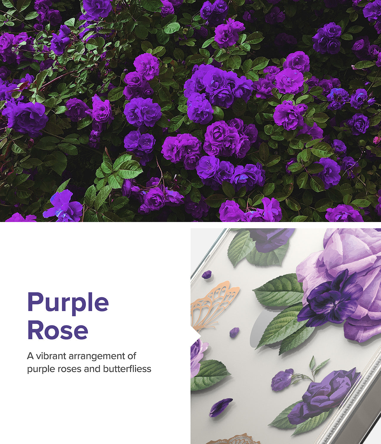 iPhone 14 Case | Fusion Design - Purple Rose - Purple Rose. A vibrant arrangement of purple roses and butterflies.