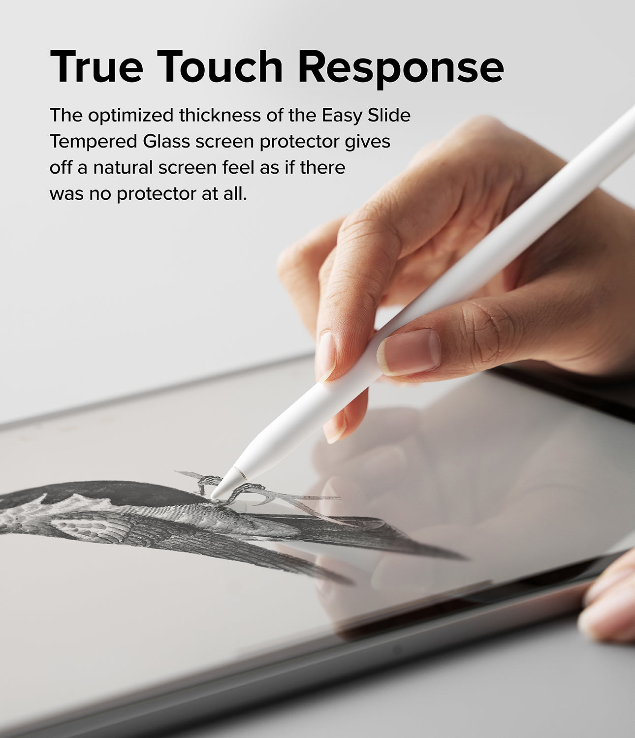 Easy Slide Tempered Glass | iPad - Hand using a stylus to draw a bird on an iPad screen with a glass protector.