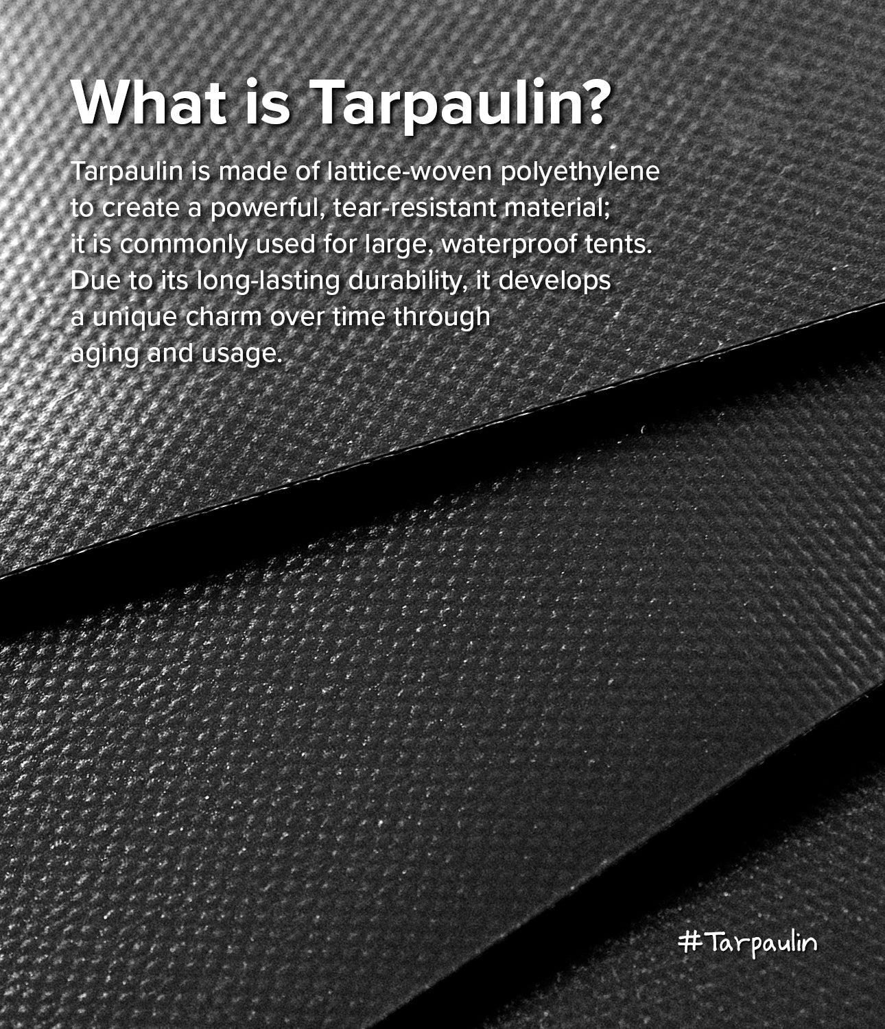 Mini Pouch Tarpaulin | Roll Top - Made of durable tarpaulin and nylon, The unique roll-top bag design, The high-quality zipper on the back, Dimension of 100 x 70 x 35mm